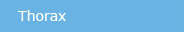 Thorax