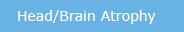 Head Brain Atrophy